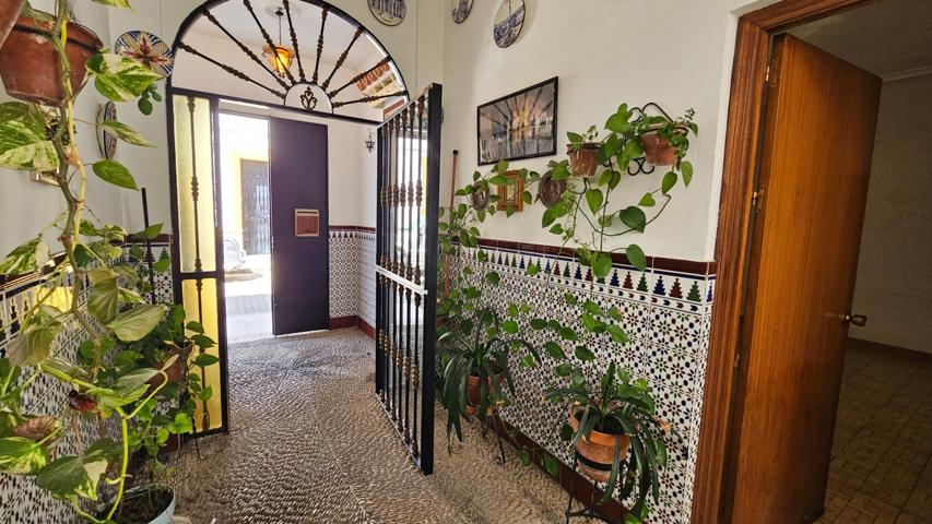 El alma de un patio cordobés photo 0