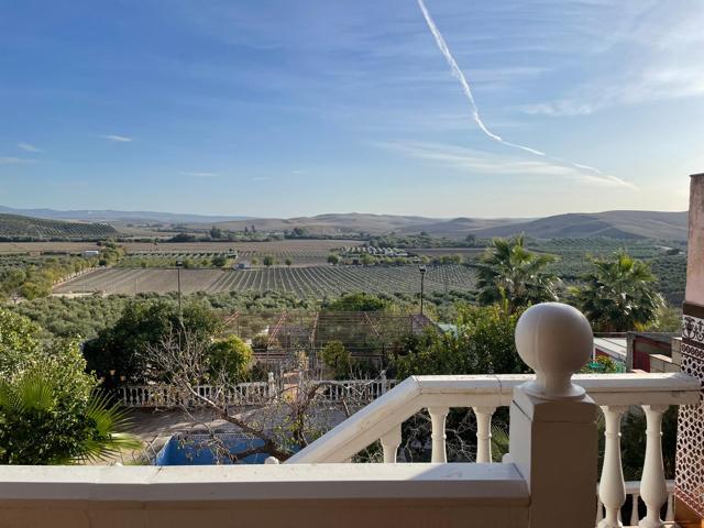 Un rinconcito con vistas al mar de olivos. photo 0