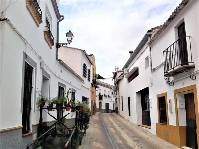 La Casa de tus Sueños en El Castillo de las Guardas, Sevilla photo 0