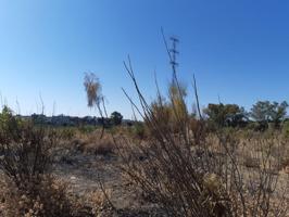 Terreno Urbanizable En venta en Andalucia, Burguillos De Sevilla photo 0