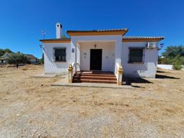 VENTA DE PARCELA CON CHALET Y PISCINA photo 0