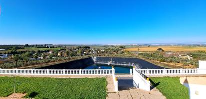 Finca de recreo con olivar en venta en Vista Sevilla, Mairena del Alcor, Sevilla photo 0
