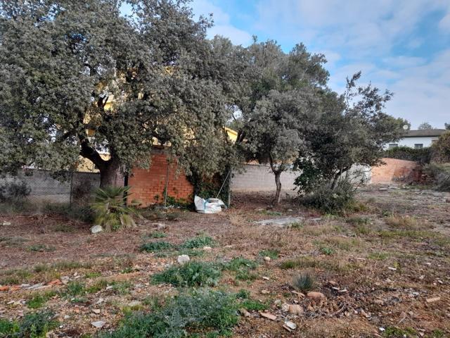 TERRENO UBANIZABLE photo 0