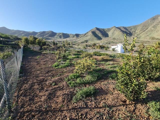 Terreno Rústico en Venta en Buenavista del Norte photo 0