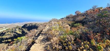 Terreno Rústico en Fasnia photo 0