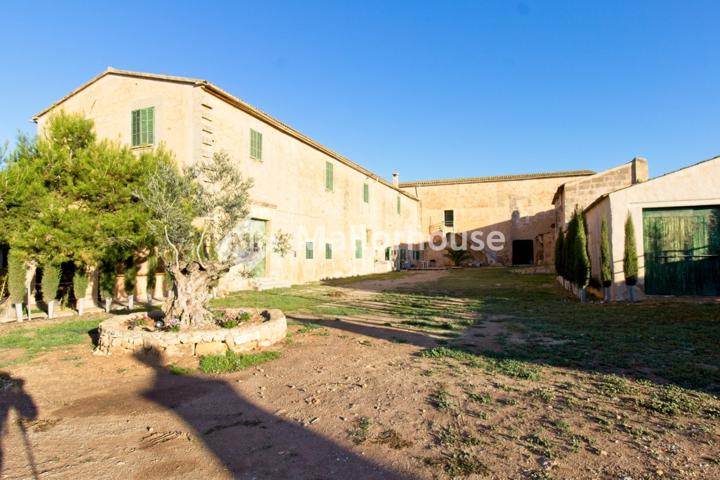 Casa De Campo En venta en El Coll D´en Rabassa, Palma De Mallorca photo 0