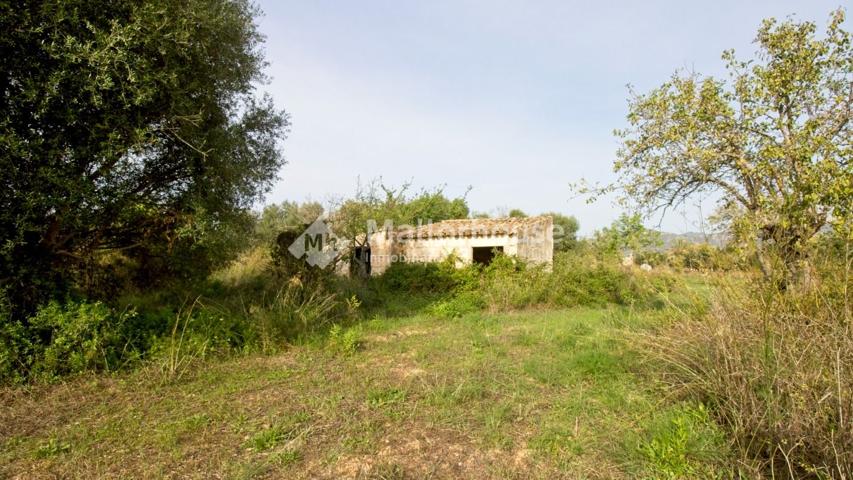 Casa De Campo En venta en Campanet-Buger, Búger photo 0