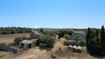 Casa De Campo En venta en Son Sant Martí, Muro photo 0