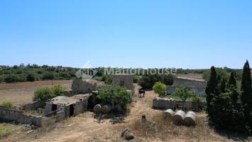 Otro En venta en Son Sant Martí, Muro photo 0