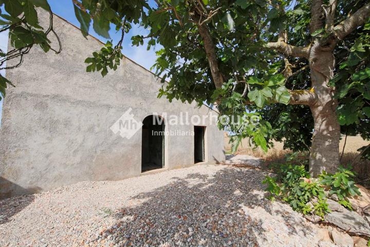 Terreno Urbanizable En venta en Son Serra, Muro photo 0