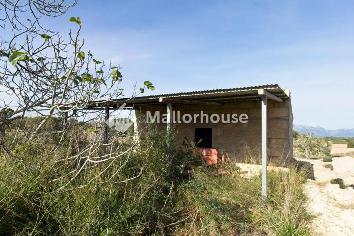 Terreno Urbanizable En venta en Llubi, Llubí photo 0