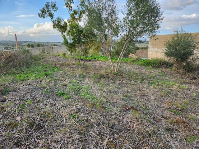Terreno Urbanizable En venta en Santa Margalida, Santa Margalida photo 0