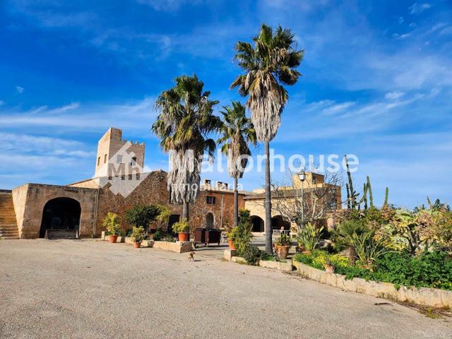 Mansión En venta en Santa Margalida, Santa Margalida photo 0