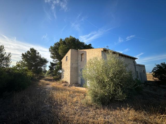 Casa De Campo En venta en Son Sant Martí, Muro photo 0