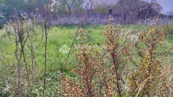 Terrenos Edificables En venta en Muro, Muro photo 0