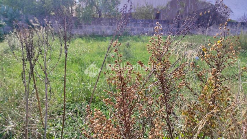 Terrenos Edificables En venta en Muro, Muro photo 0