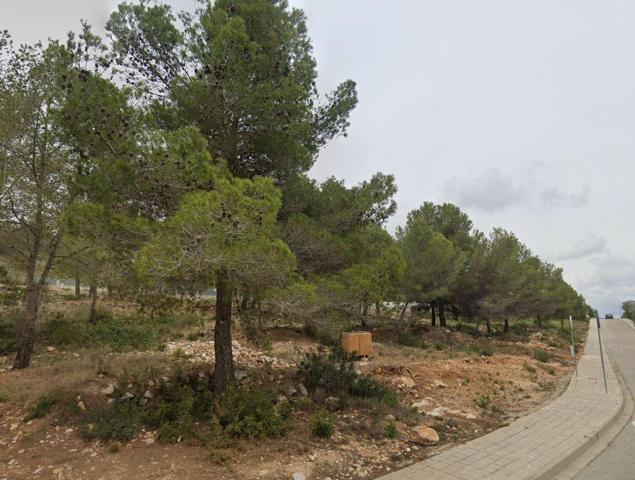 TERRENO EN VENTA EN LA COAGULLADA photo 0