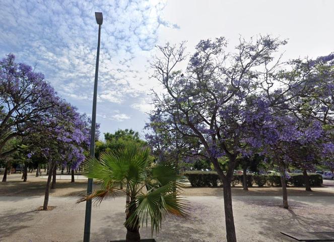 PLANTA BAJA CON PÁRQUING EN VENTA photo 0