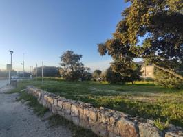 Terreno Urbanizable En venta en Sevilla La Nueva photo 0