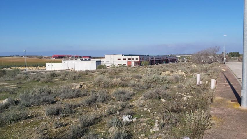 Suelo industrial P.I Caseria del Rey photo 0