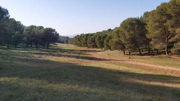 Venta de parcela rustica en Humilladero photo 0