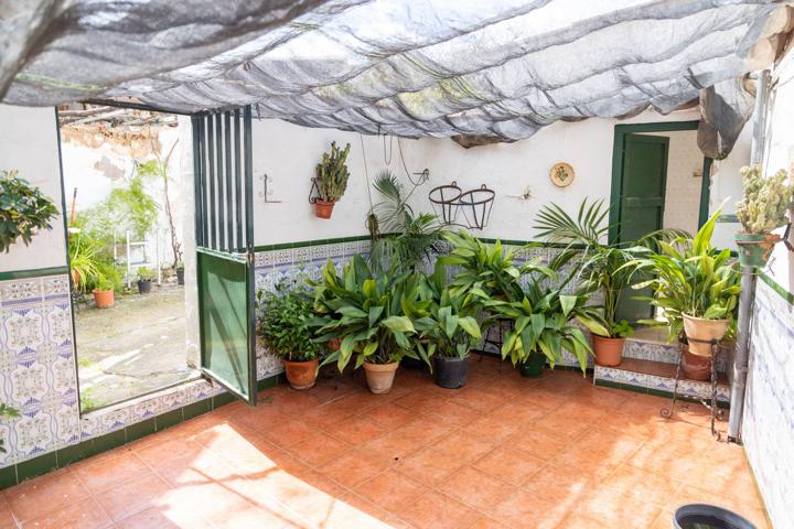 CASA CON GRAN PATIO EN ALAMEDA photo 0