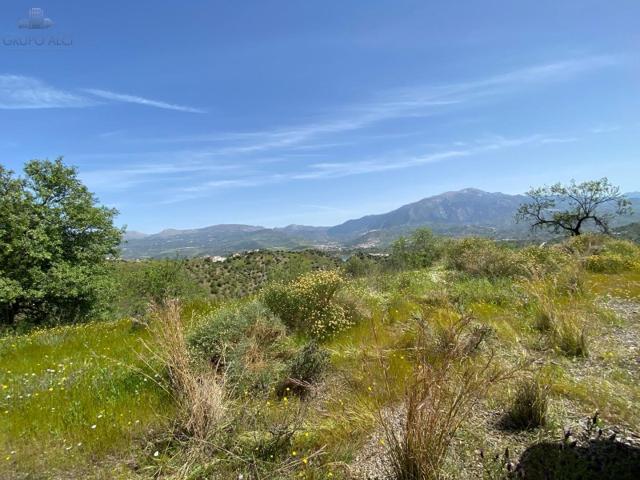 Terreno Urbanizable En venta en Viñuela photo 0