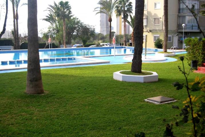 GRAN OPORTUNIDAD! APARTAMENTO DE 2 DORMITORIOS EN PONIENTE (PARA INVERSIONISTA, ESTA ALQUILADO EN 600 EUROS) photo 0