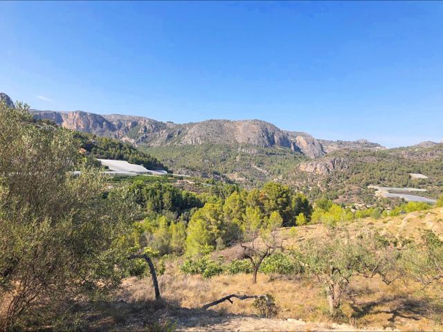 TERRENO RÚSTICO DE MÁS DE 10.000 M² EN BOLULLA photo 0