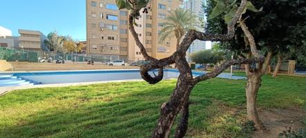 ¡¡OPORTUNIDAD!! PISO DE 3 HABITACIONES CON PARKING Y PISCINA, EN BENIDORM photo 0