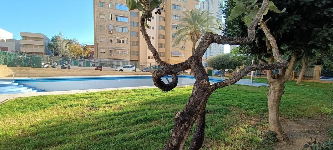 ¡¡OPORTUNIDAD!! PISO DE 3 HABITACIONES CON PARKING Y PISCINA, EN BENIDORM photo 0