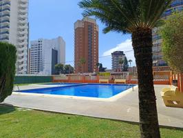 GRAN OPORTUNIDAD! ESTUDIO REFORMADO EN ZONA MERCADONA photo 0