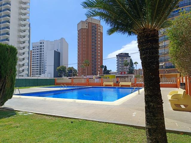 GRAN OPORTUNIDAD! ESTUDIO REFORMADO EN ZONA MERCADONA photo 0