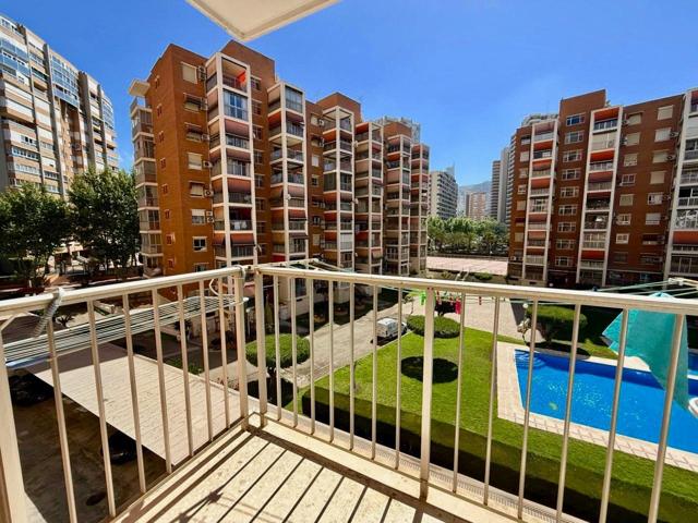 AMPLIO APARTAMENTO EN BENIDORM, A SOLO 480 METROS DE LA PLAYA DE LEVANTE photo 0