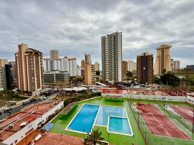 APARTAMENTO EN LEVANTE, BENIDORM – AMPLIO, LUMINOSO Y A SOLO 380 METROS DE LA PLAYA photo 0