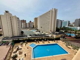 EXCLUSIVA - BONITO ESTUDIO REFORMADO CON PISCINA Y PARKING EN BENIDORM – IDEAL INVERSIÓN O VACACIONAL photo 0