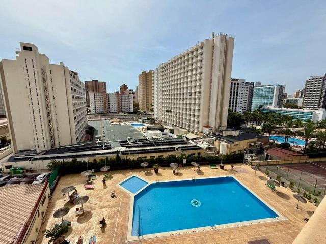 BONITO ESTUDIO REFORMADO CON PISCINA Y PARKING EN BENIDORM – IDEAL INVERSIÓN O VACACIONAL photo 0