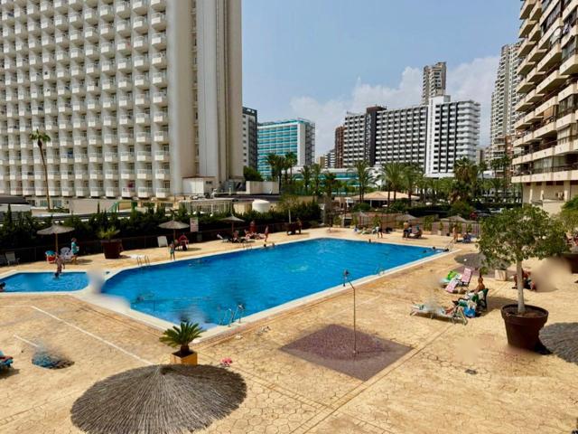 EXCLUSIVA - BONITO ESTUDIO REFORMADO CON PISCINA Y PARKING EN BENIDORM – IDEAL INVERSIÓN O VACACIONAL photo 0