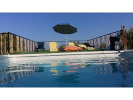Finca con gran casa, piscina y olivos photo 0