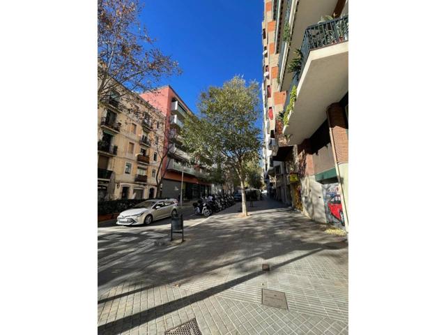 SIN CÉDULA, OFICINA. photo 0