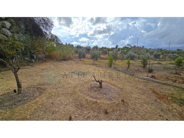 Terreno Urbanizable En venta en Málaga photo 0