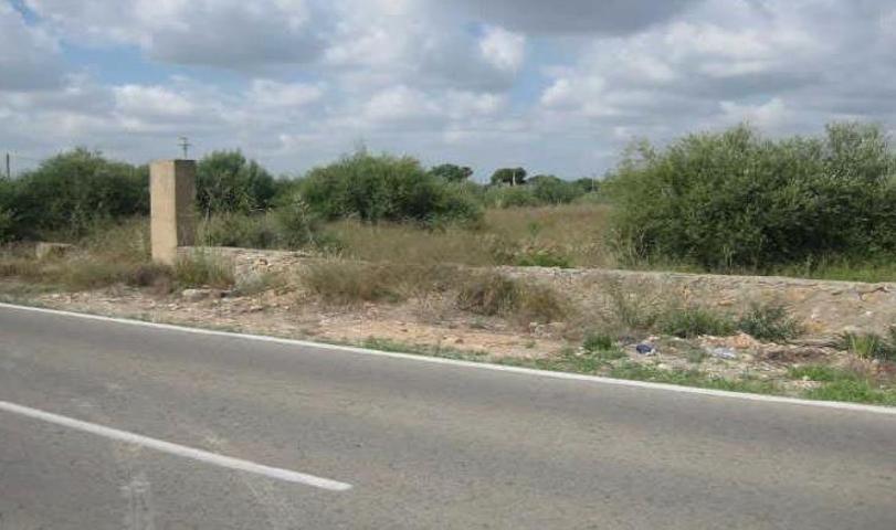 Terreno Urbanizable En venta en Maravisa, La Pobla De Vallbona photo 0