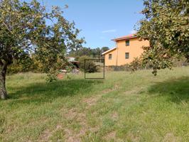 FINCA EDIFICABLE EN MOSENDE-VALDOVIÑO photo 0