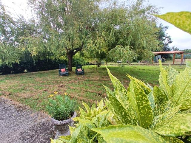 Casa con amplia parcela en Sequeiro, Valdoviño photo 0