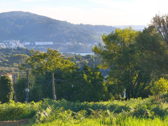 PARCELA EDIFICABLE EN LARAXE, CABAÑAS photo 0