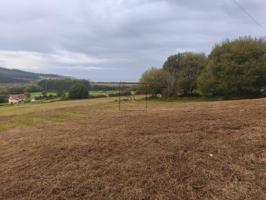 FINCA EDIFICABLE EN PANTIN, VALDOVIÑO photo 0