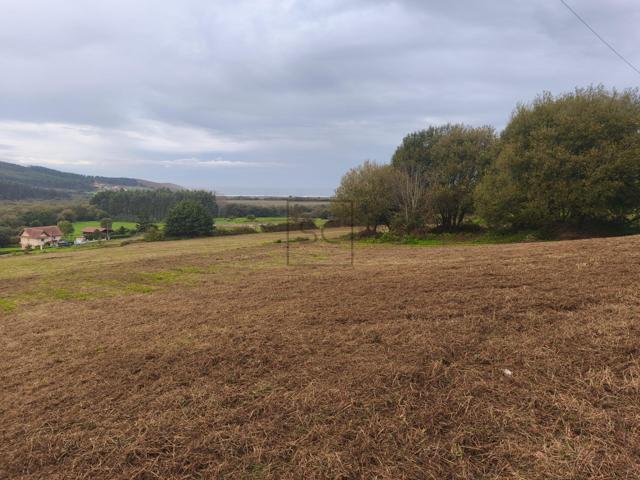 FINCA EDIFICABLE EN PANTIN, VALDOVIÑO photo 0