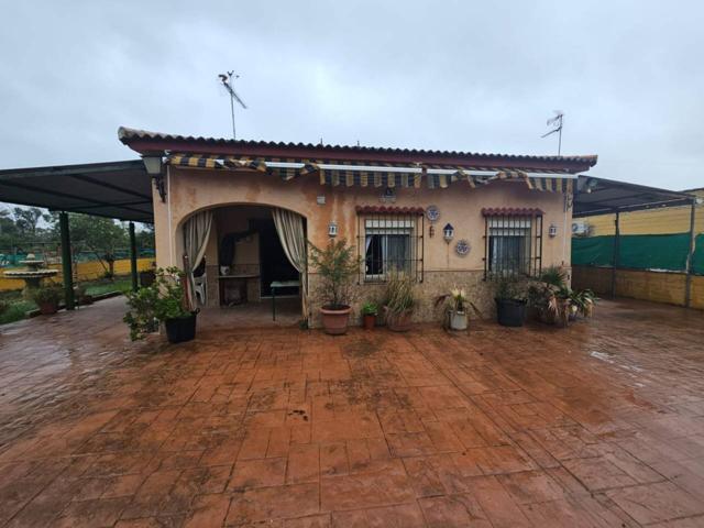 Finca rustica en venta en Sanlúcar la Mayor photo 0