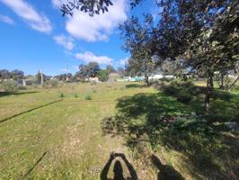 Finca rustica en venta en Castilblanco de los Arroyos photo 0