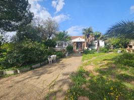 Terreno en venta en Castilblanco de los Arroyos photo 0